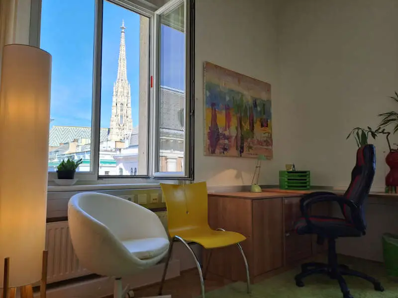 Ordinatination Karin Baier Tuina mit Stephansdom im Hintergrund